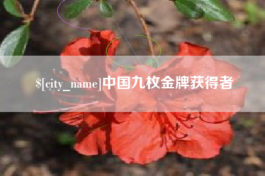 三亚中国九枚金牌获得者