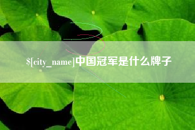 三亚中国冠军是什么牌子