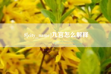 三亚九宫怎么解释