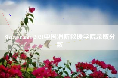 三亚2021中国消防救援学院录取分数