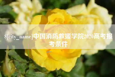 三亚中国消防救援学院2020高考报考条件