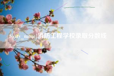 三亚消防工程学校录取分数线