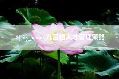 三亚九宫格人才管理策略