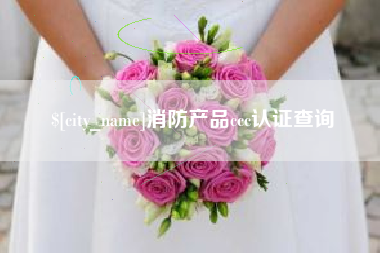 三亚消防产品ccc认证查询