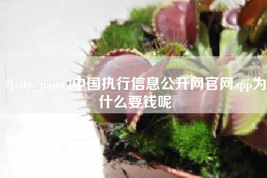 三亚中国执行信息公开网官网app为什么要钱呢