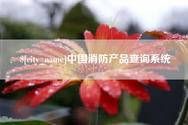 三亚中国消防产品查询系统