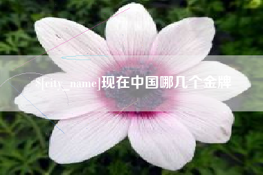 三亚现在中国哪几个金牌
