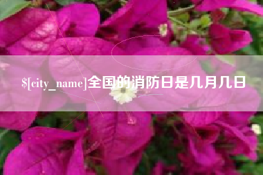 三亚全国的消防日是几月几日