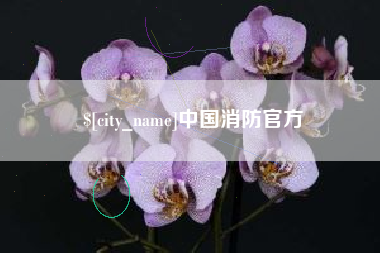 三亚中国消防官方