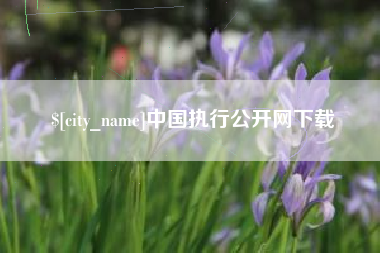 三亚中国执行公开网下载
