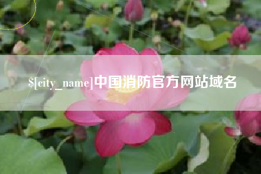 三亚中国消防官方网站域名