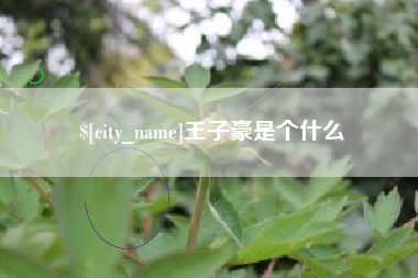 三亚王子豪是个什么