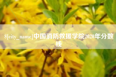 三亚中国消防救援学院2020年分数线