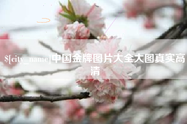 三亚中国金牌图片大全大图真实高清