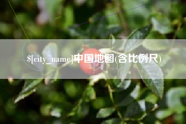 三亚中国地图(含比例尺)