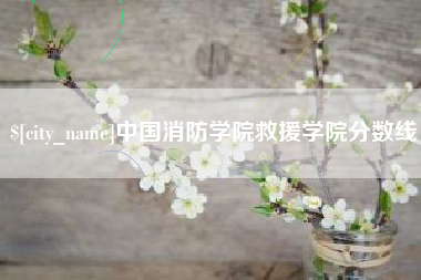 三亚中国消防学院救援学院分数线
