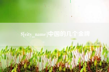三亚中国的几个金牌