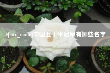 三亚中国五千米冠军有哪些名字