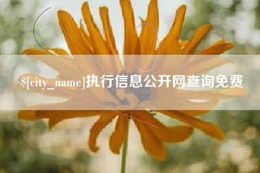三亚执行信息公开网查询免费