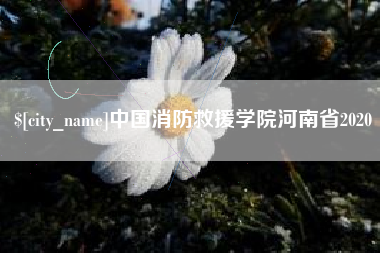 三亚中国消防救援学院河南省2020