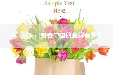 三亚看看中国的金牌有多少